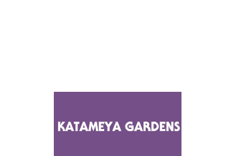 Katameya Gardens