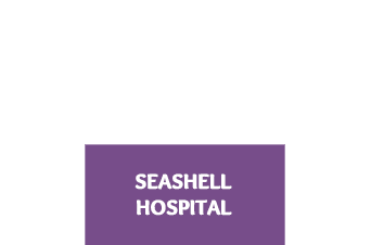 Seashell Hospital